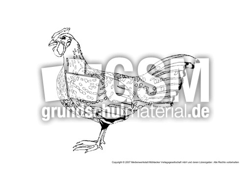 Huhn.pdf